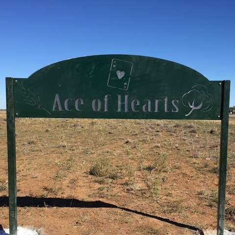 Photo: Ace of Hearts , Riverview Farming